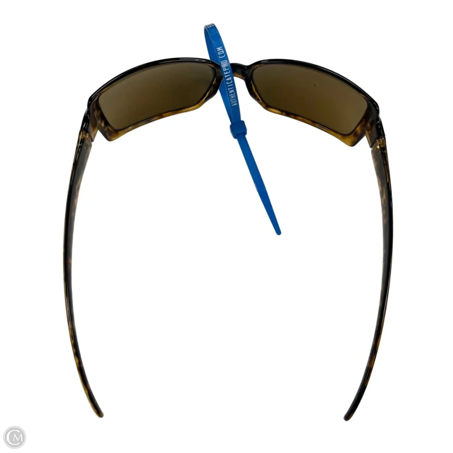 Sunglasses Luxury Designer By Gucci
