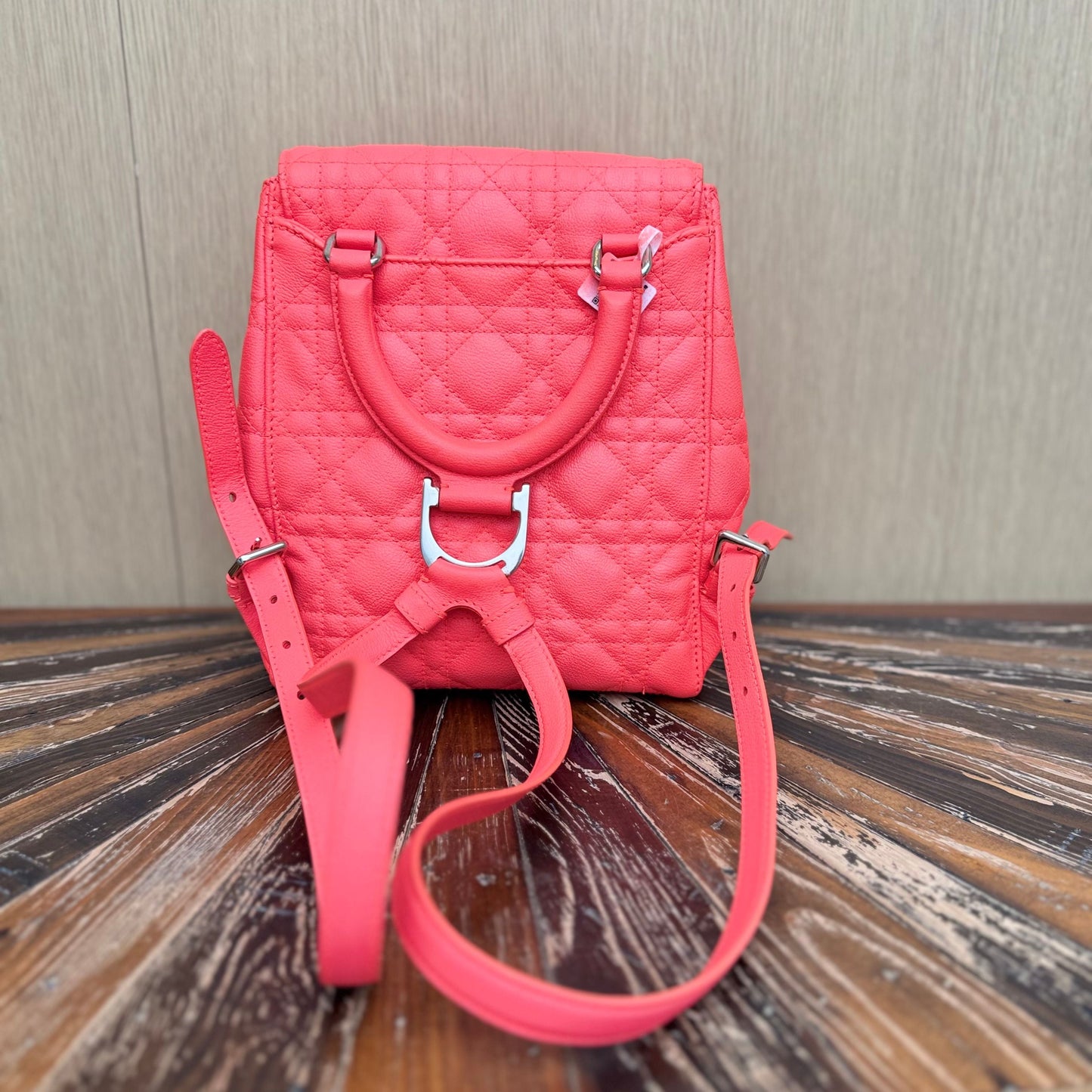 Diortravel leather backpack Dior Red in Leather 3293