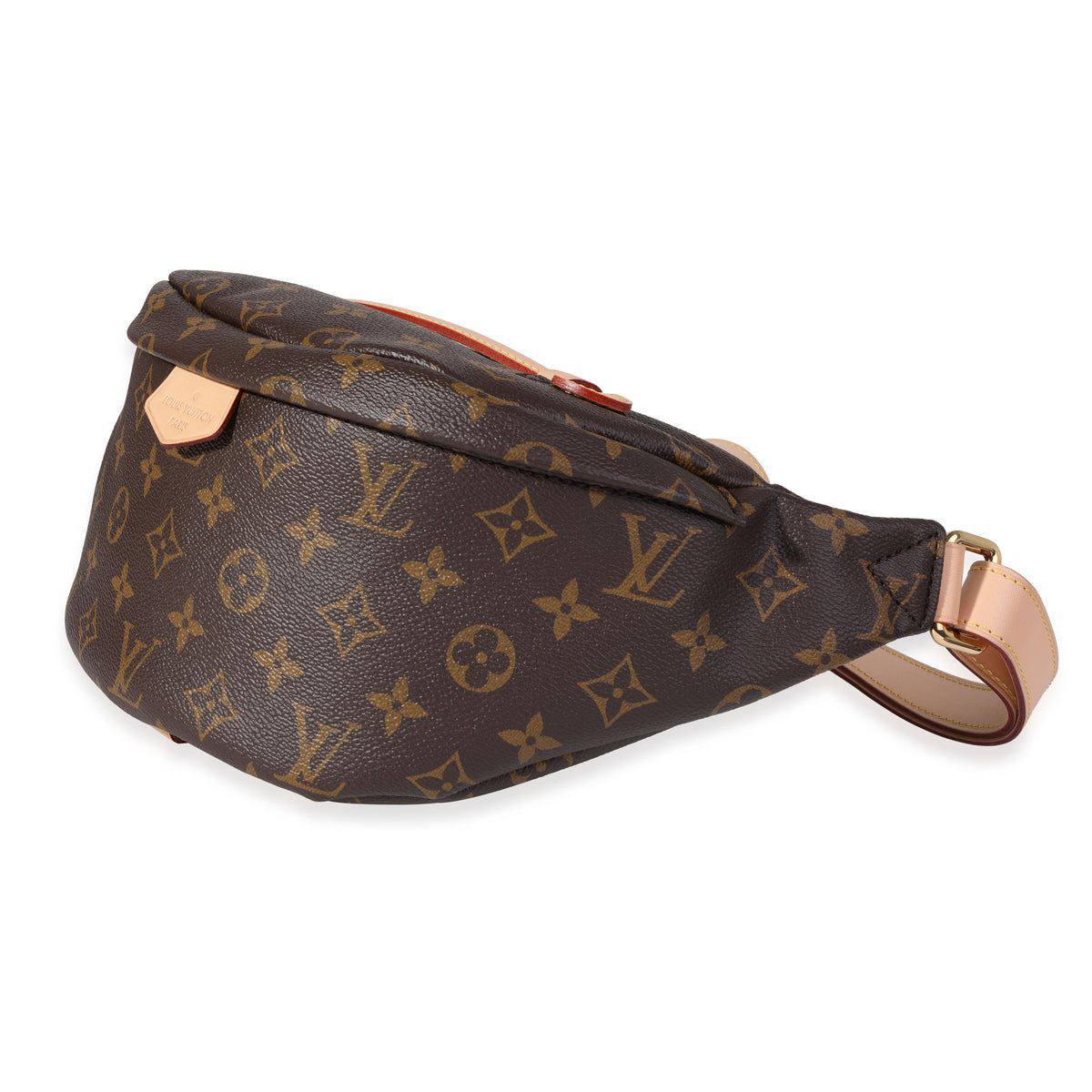 Louis Vuitton Monogram Canvas Waist Bumbag