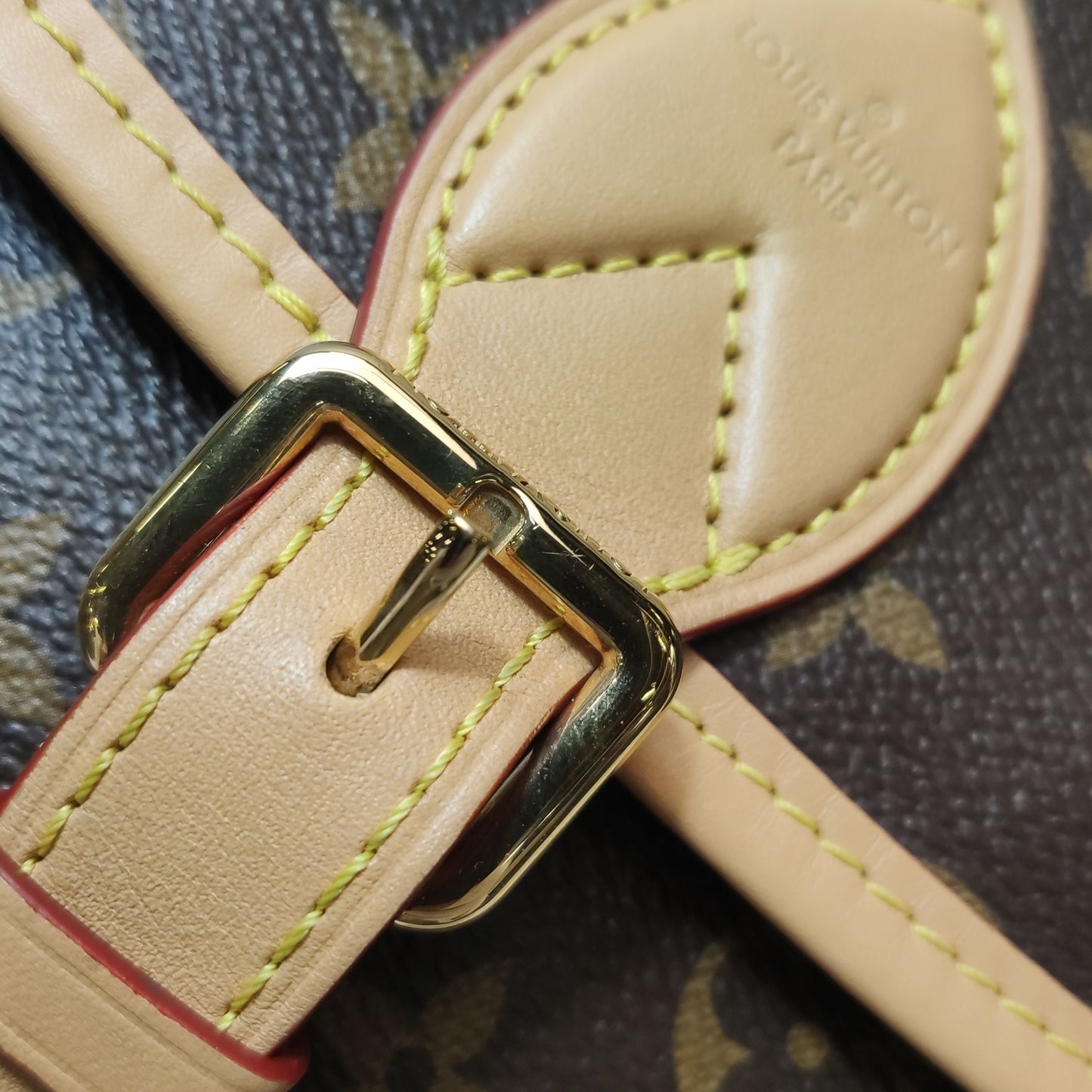 Louis Vuitton Diane Monogram Crossbody Shoulder Bag Microchip 250502781175419