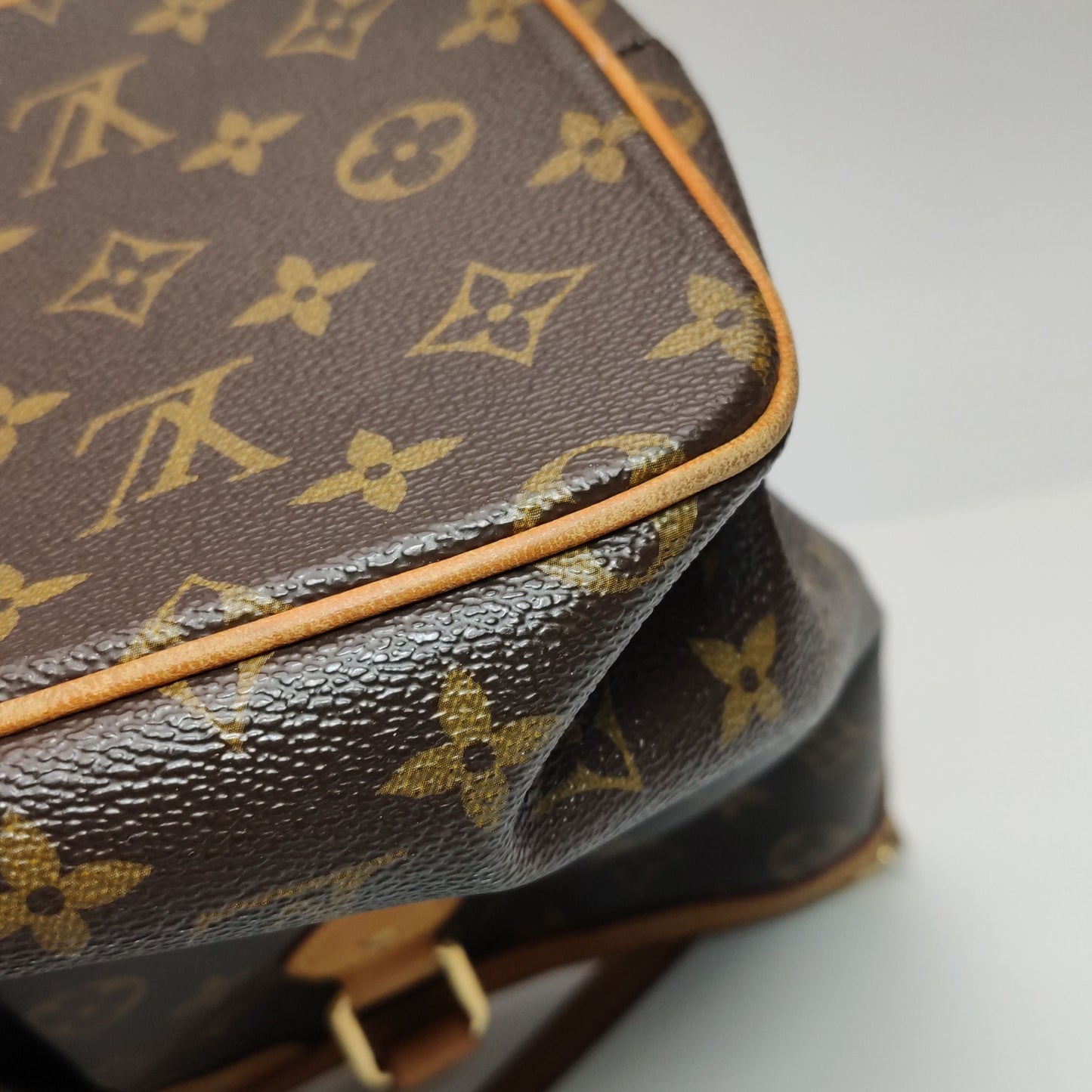 Louis Vuitton Palermo PM Monogram Canvas Shoulder Bag 250502781174856