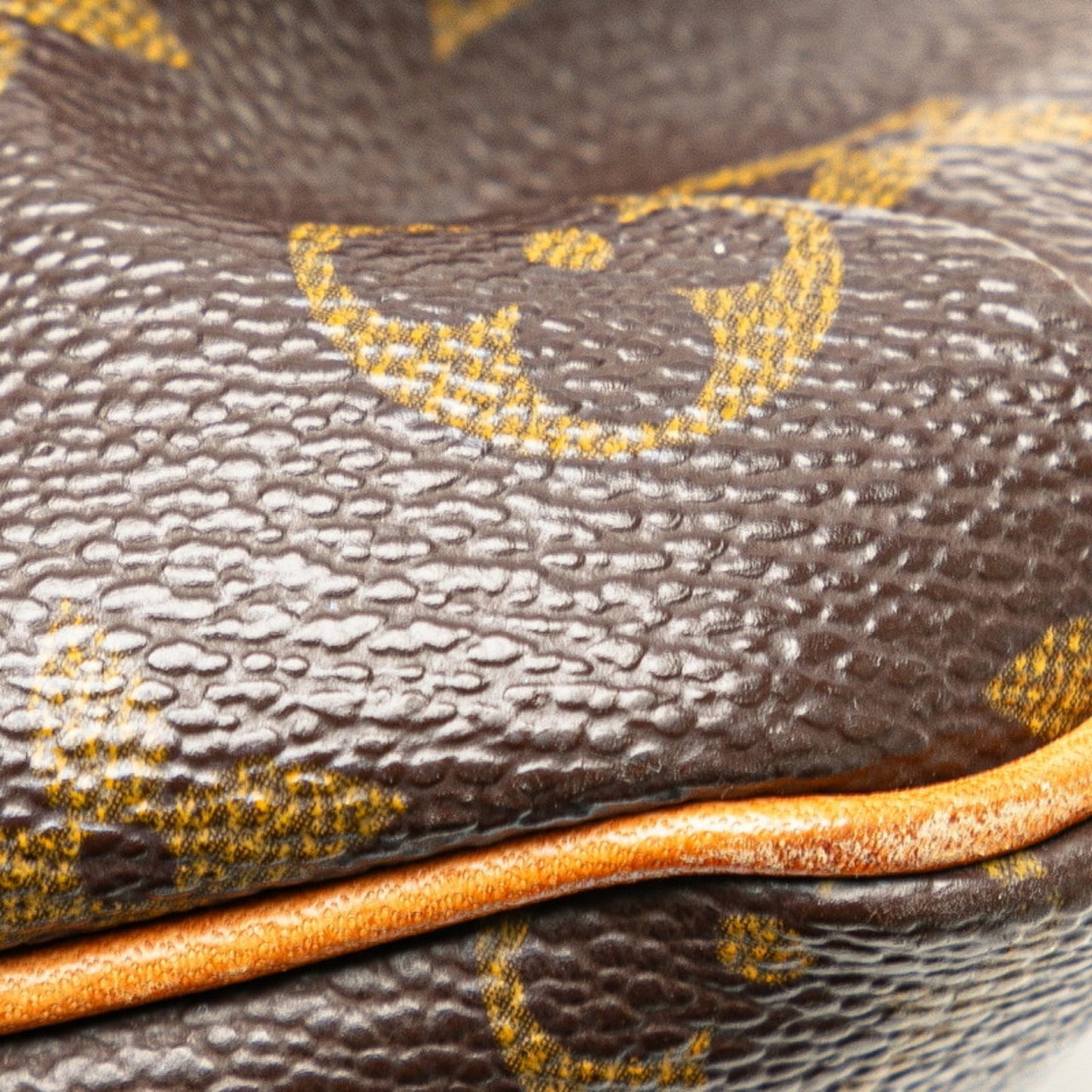 Louis Vuitton  Pvc Leather Shoulder Bag