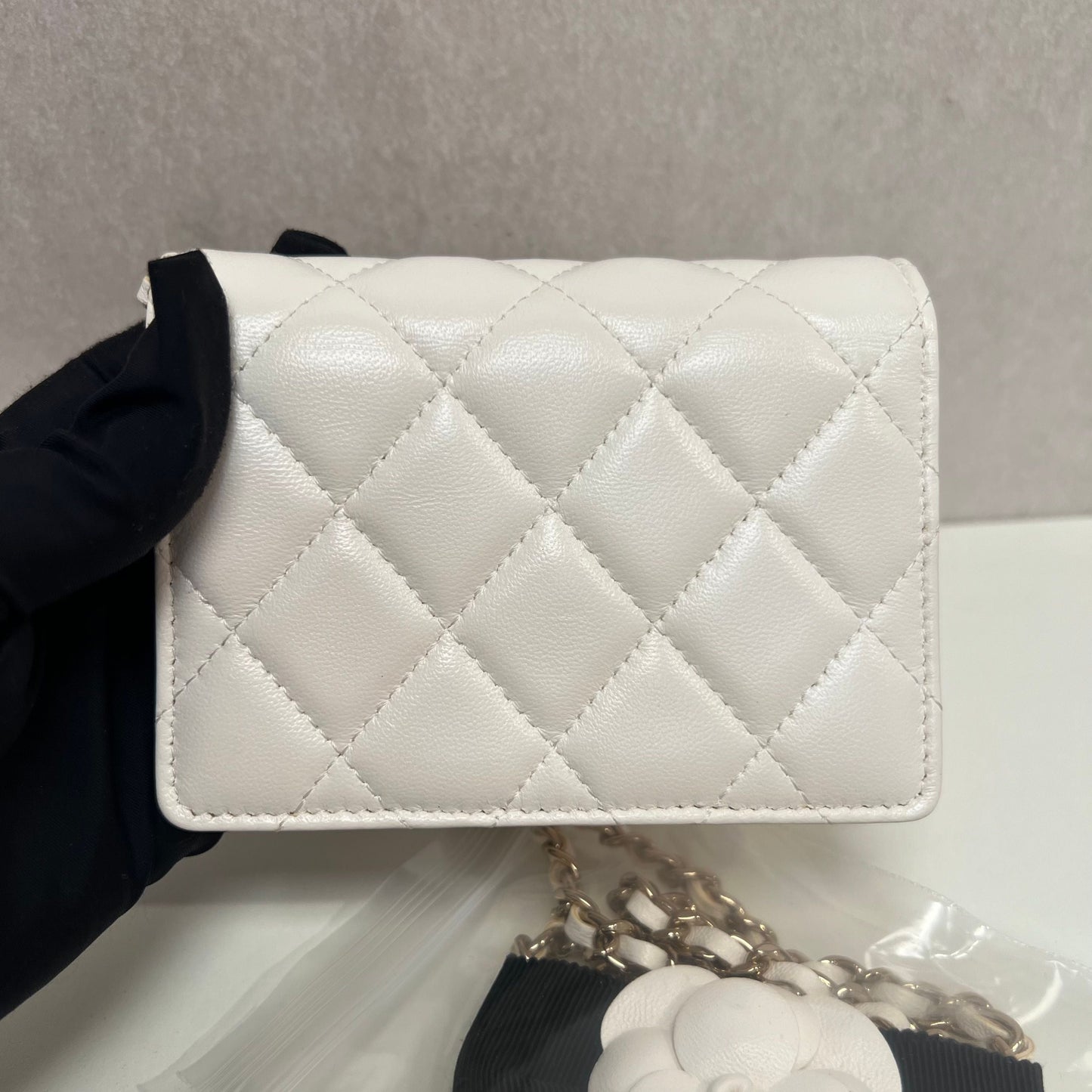 Chanel Clutch on Chain 3335