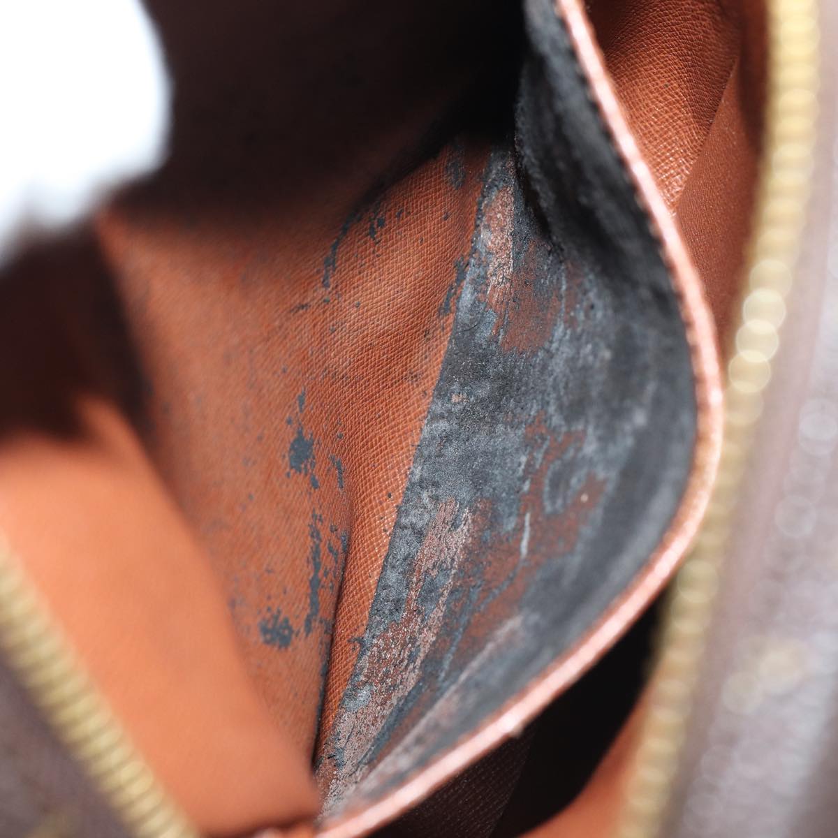 LOUIS VUITTON Monogram Amazon Shoulder Bag M45236 LV Auth 88019