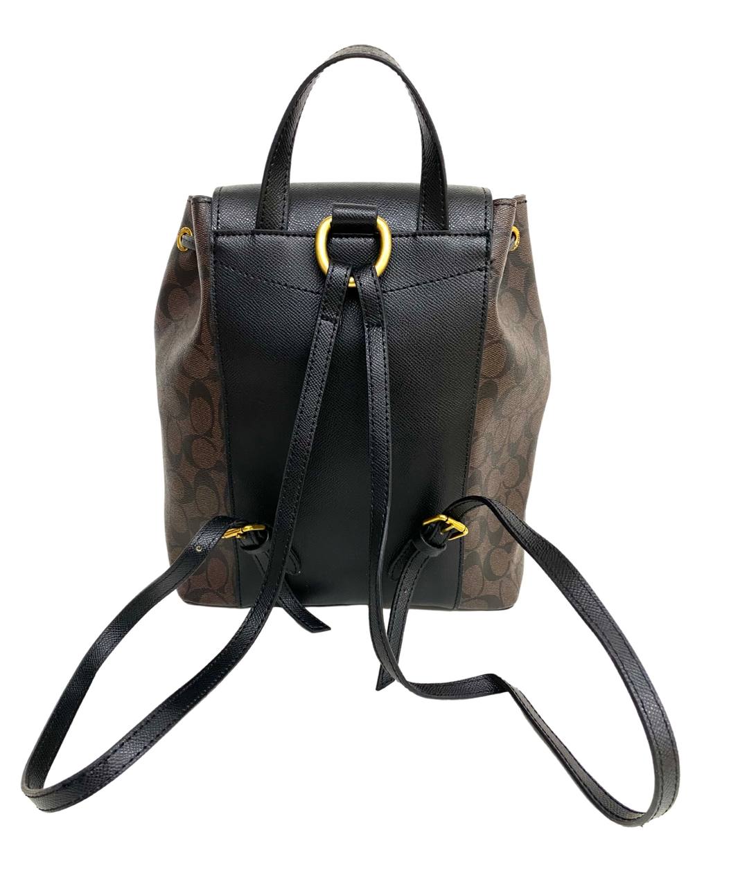 Evie backpack in signature canvas
