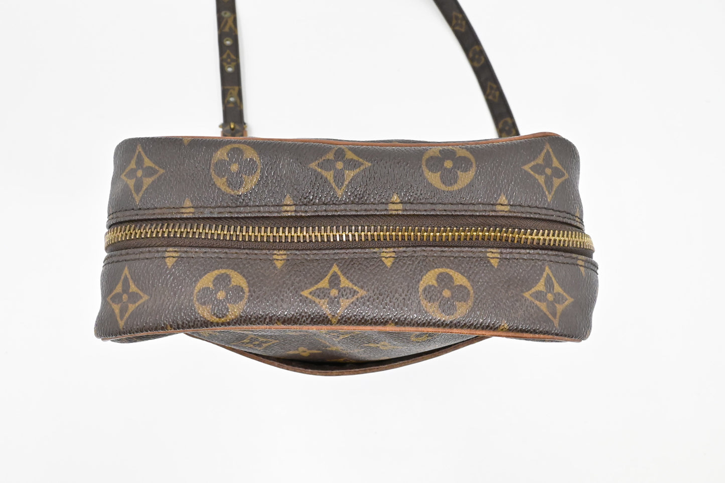 Louis Vuitton Danube MM in Monogram Canvas