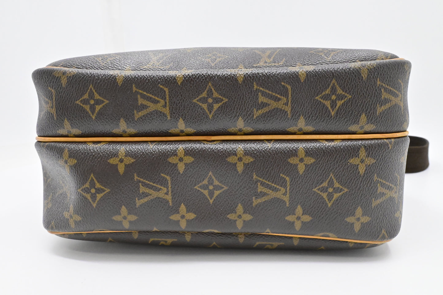 Louis Vuitton Reporter PM in Monogram Canvas