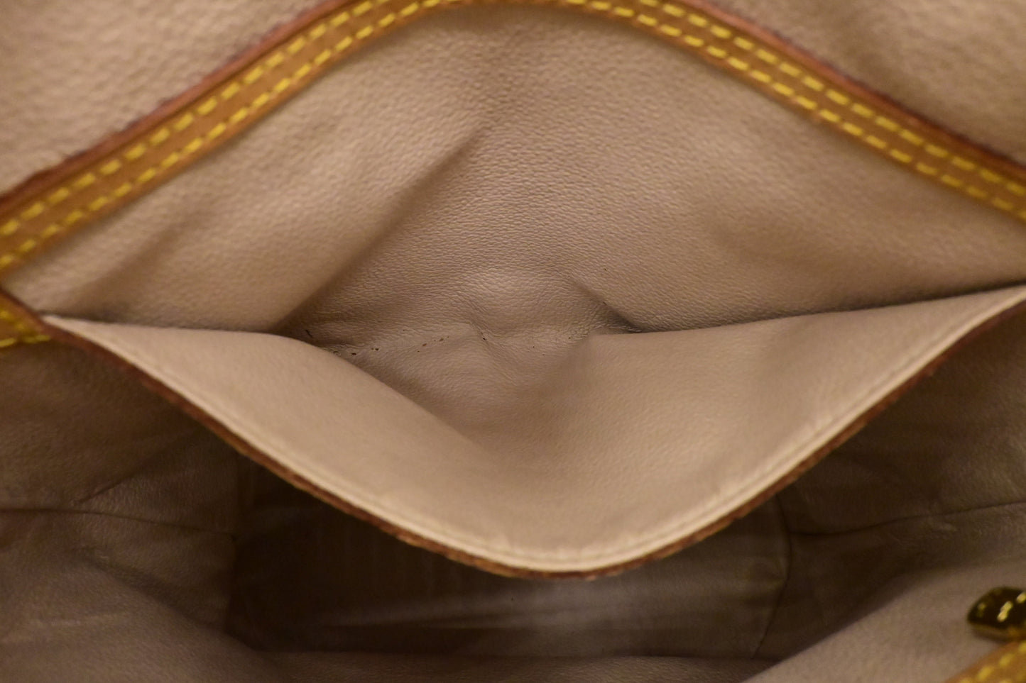 Louis Vuitton Bucket PM in Monogram Canvas