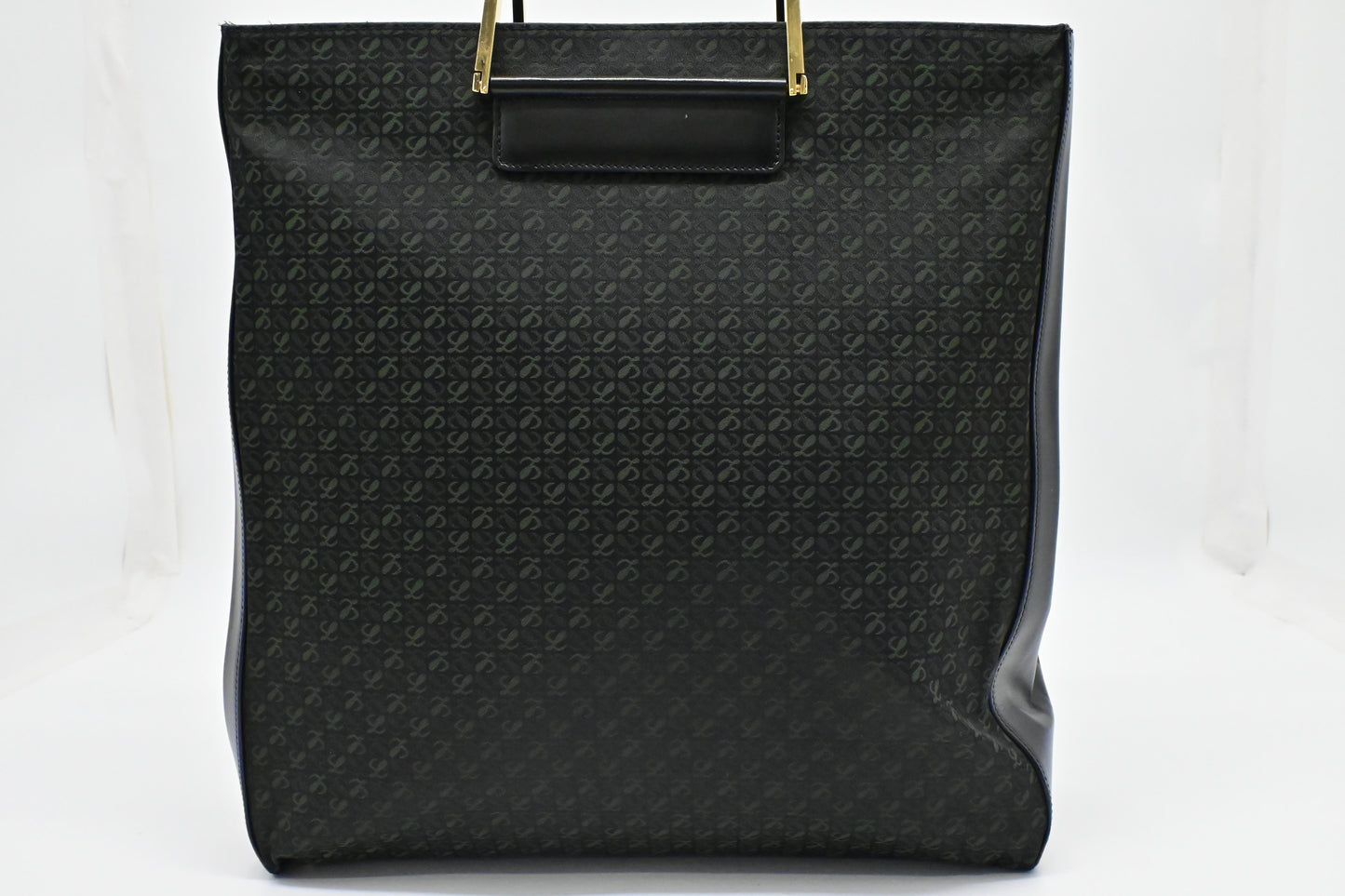 Loewe Anagram Tote in Black & Green Canvas