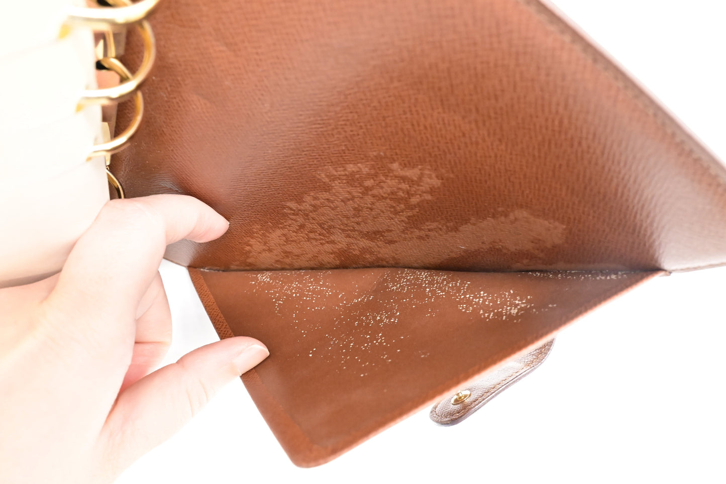 Louis Vuitton Agenda MM in Monogram Canvas