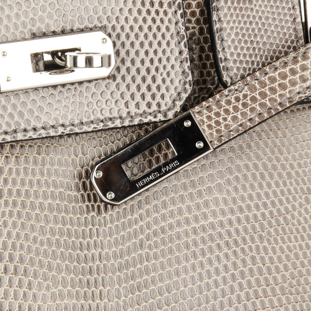 Hermes Birkin 25 Bag Gris Agate Lizard Palladium Hardware VERY Rare