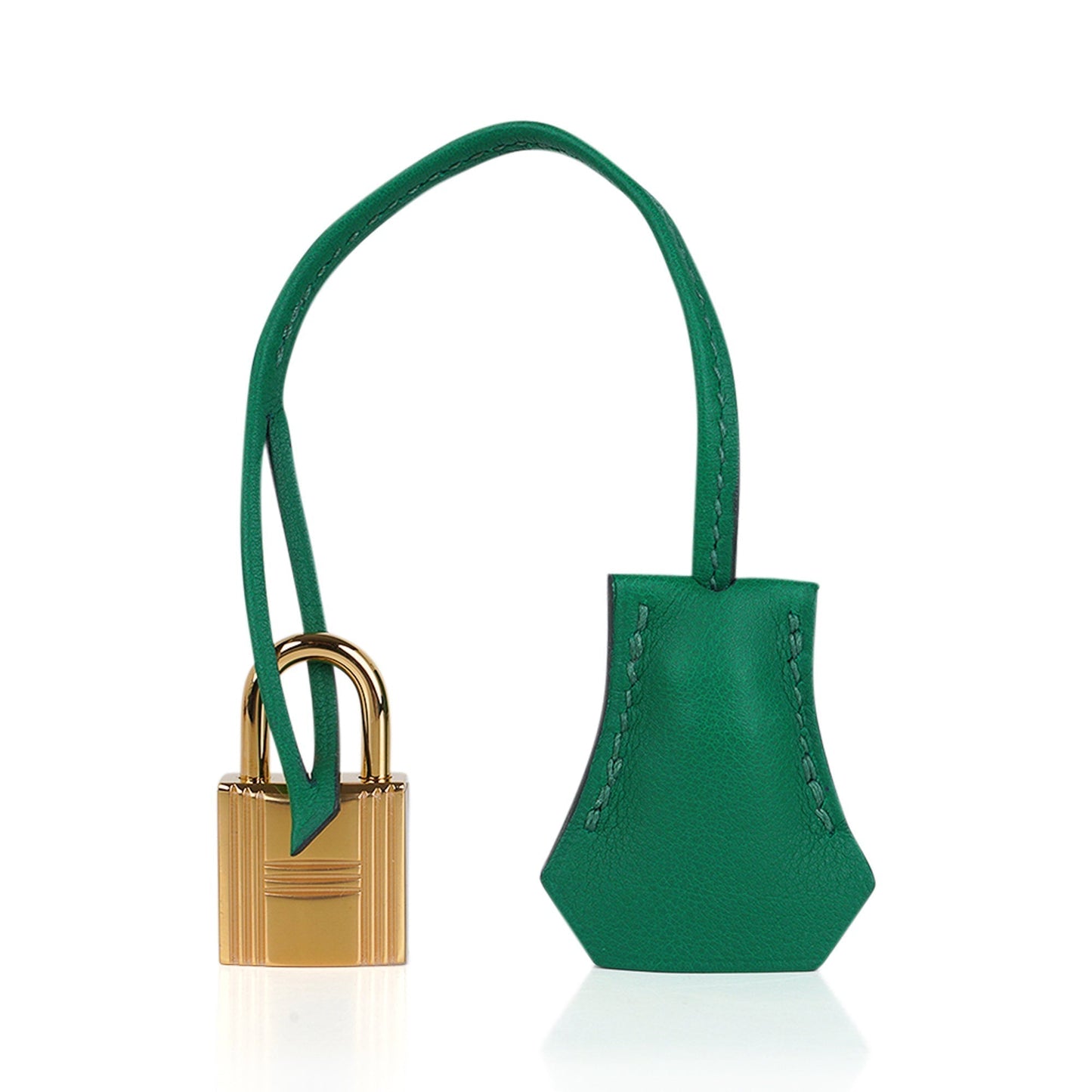 Hermes Birkin 25 Bag in Cactus Swift Leather with Gold Hardware