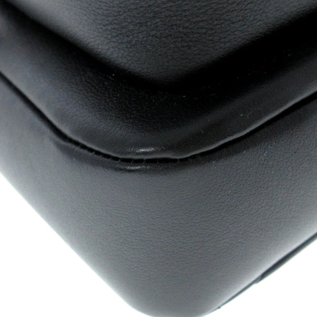 Chanel Camera Case shoulder bag