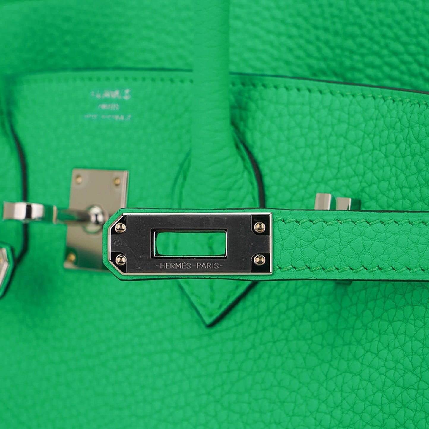 Hermes Birkin 25 Bag Vert Comics Togo Leather with Palladium Hardware