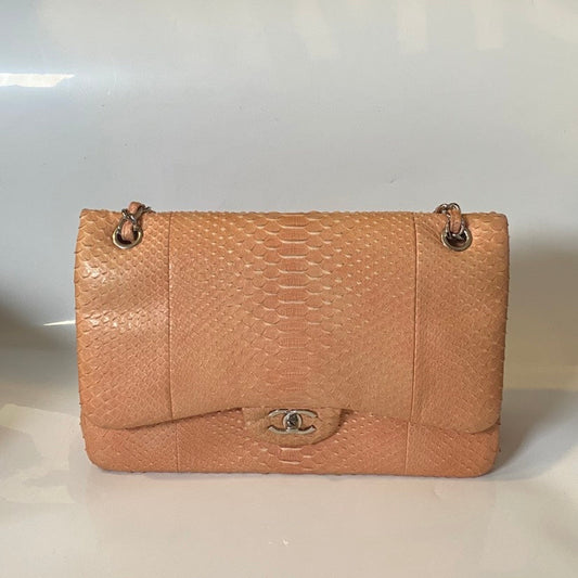 Chanel Python Shoulder Bag in Nude Leather