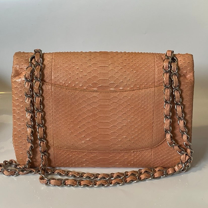 Chanel Python Shoulder Bag in Nude Leather