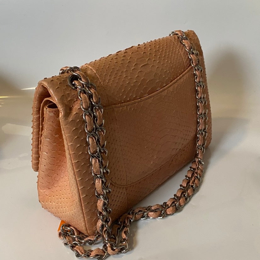 Chanel Python Shoulder Bag in Nude Leather