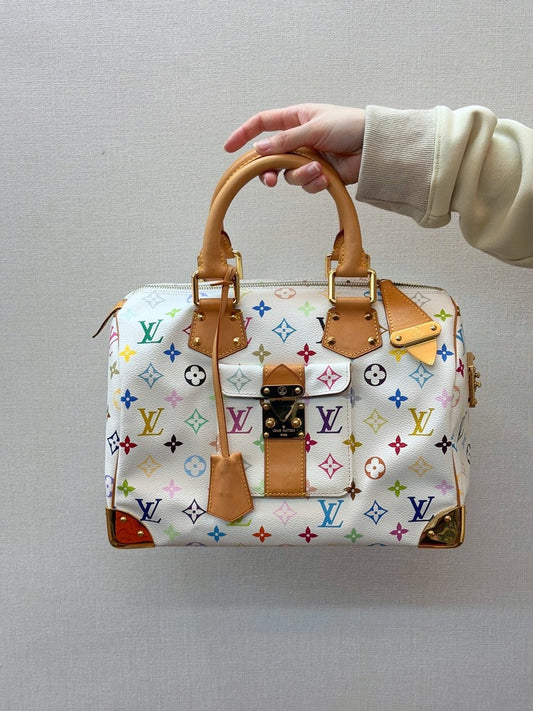 Louis Vuitton Multicolor Speedy 30 Bag