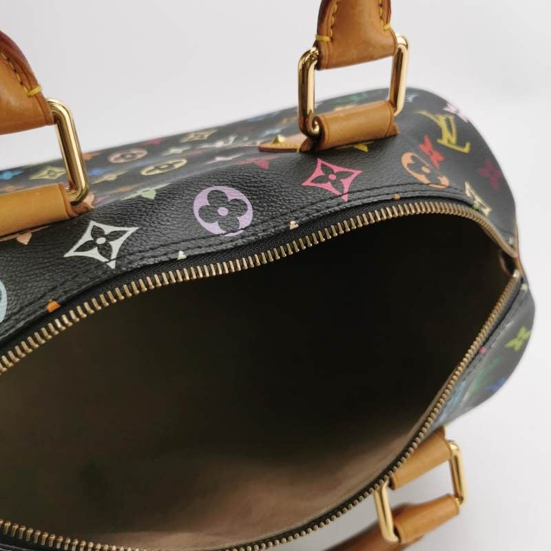 Louis Vuitton Speedy Multicolor Black Bag