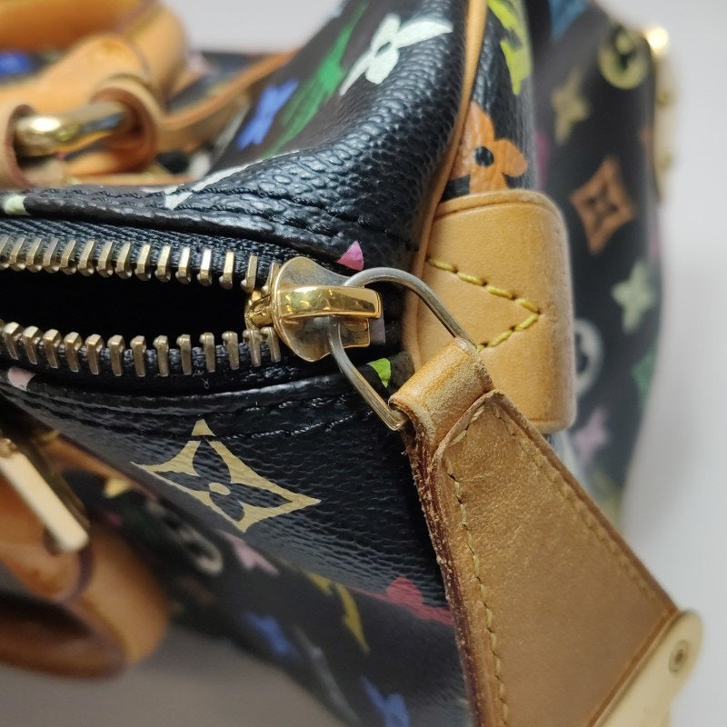 Louis Vuitton Speedy Multicolor Black Bag