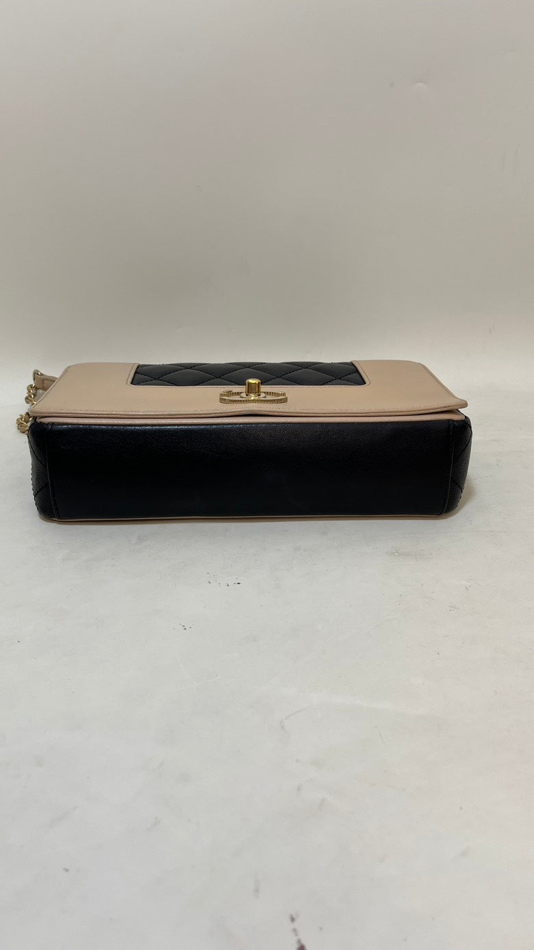 Chanel Double Flap Chain Bag Beige & Black Leather Shoulder Bag